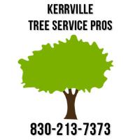 Kerrville Tree Service Pros image 1